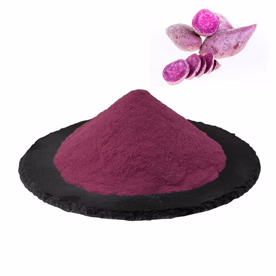 Poudre de patate douce violette lyophilisée de haute qualité pour aliments et boissons