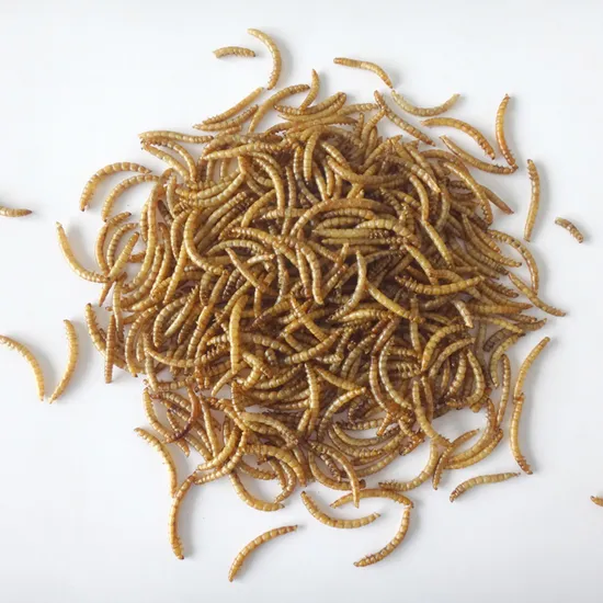 Haoxiang Chine Concentré d'isolat de fibre de protéine de noix Fabricant de poudre Fourniture de petite molécule soluble dans l'eau de haute pureté Repas de peptide de protéine de noix organique